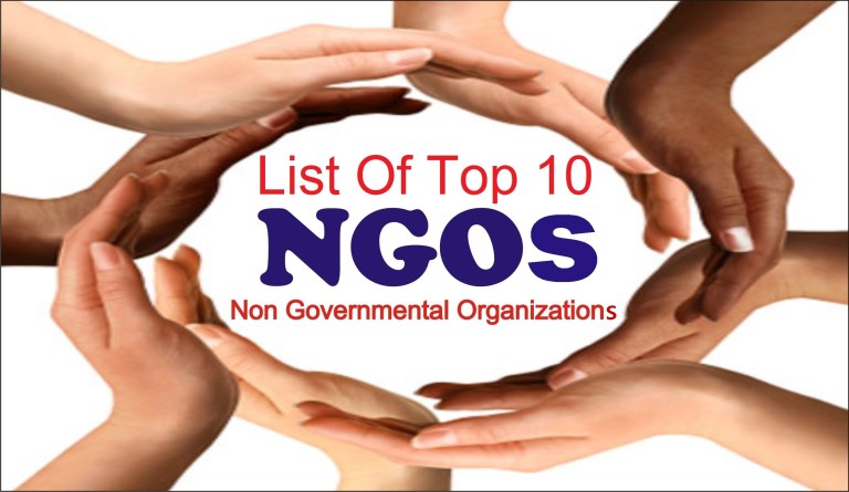 List of Top 10 Non Governmental Organizations in USA