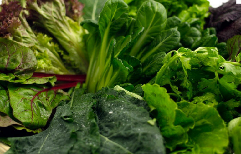 Leafy Greens -Nutrition for Kids: 5 Healthy Foods that Improve Dental Health