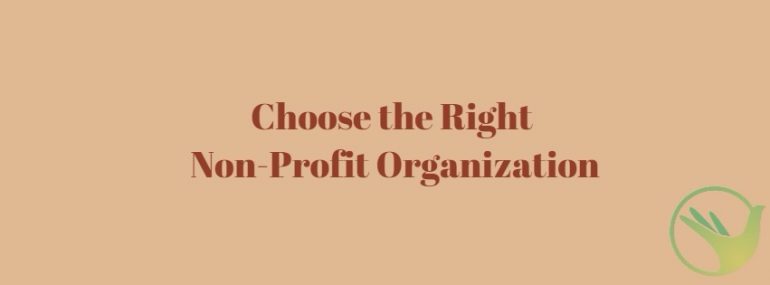 Choose the Right Non-Profit Organization