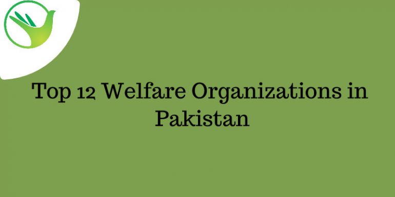 Top 12 Welfare Organizations in Pakistan - sm