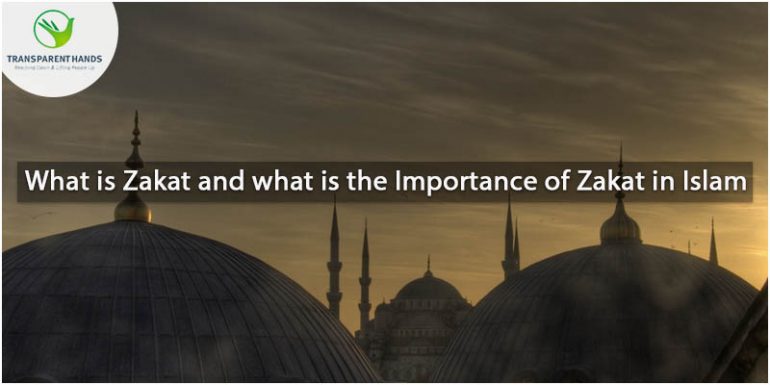What is Zakat and What is the Importance of Zakat in Islam
