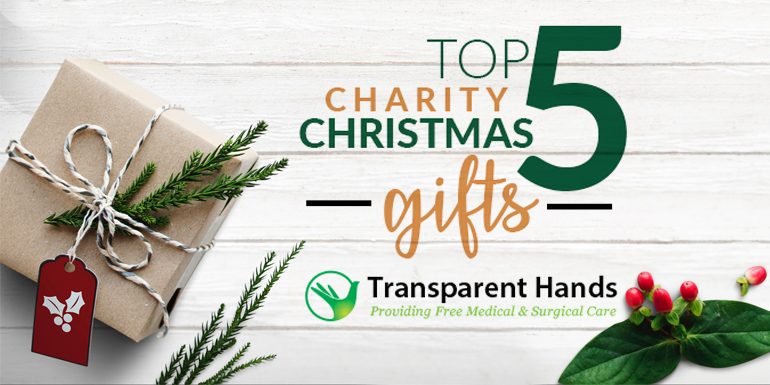 Top 5 Charity Christmas Gifts